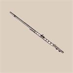 Gemeinhardt 2SP Student Flute + Free 8x8 Canvas Print, Flute Care Kit & Music Stand